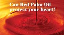 Can Red Palm Oil protect your heart?
