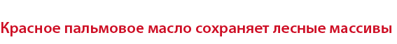 Красное пальмовое масло сохраняет лесные массивы
